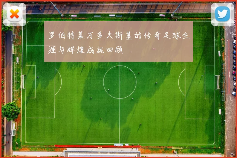 罗伯特莱万多夫斯基的传奇足球生涯与辉煌成就回顾