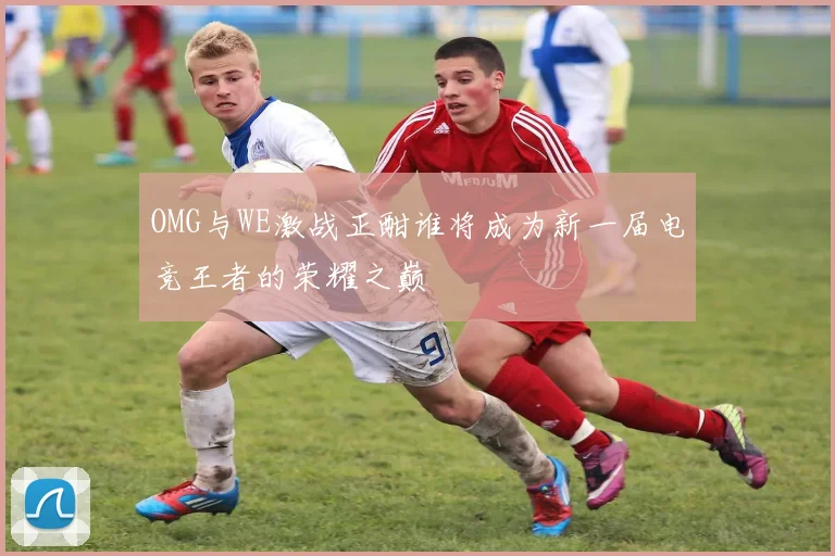 OMG与WE激战正酣谁将成为新一届电竞王者的荣耀之巅