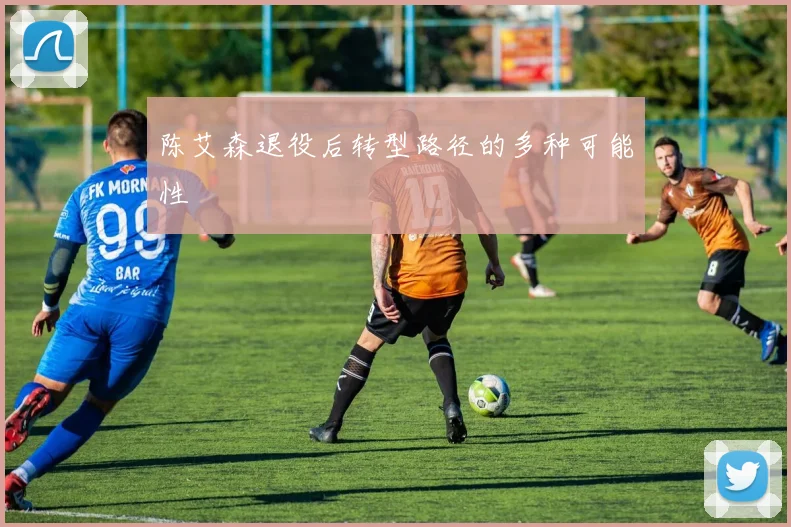 陈艾森退役后转型路径的多种可能性
