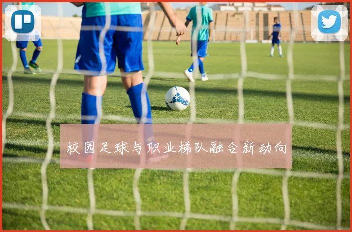 校园足球与职业梯队融合新动向